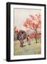 Peach Blossom-Ella Du Cane-Framed Giclee Print