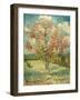 Peach Blossoming (Souvenir De Mauve)-null-Framed Giclee Print