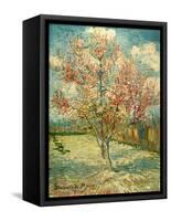 Peach Blossoming (Souvenir De Mauve)-null-Framed Stretched Canvas