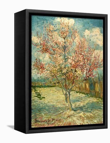 Peach Blossoming (Souvenir De Mauve)-null-Framed Stretched Canvas