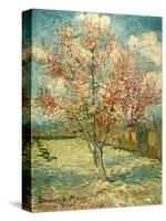 Peach Blossoming (Souvenir De Mauve)-null-Stretched Canvas