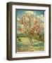 Peach Blossoming (Souvenir De Mauve)-null-Framed Giclee Print