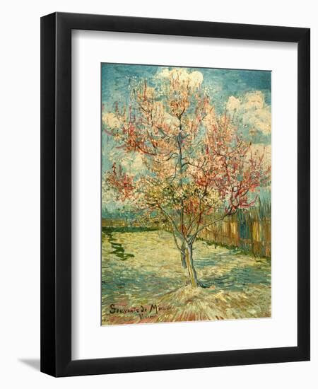 Peach Blossoming (Souvenir De Mauve)-null-Framed Giclee Print