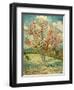 Peach Blossoming (Souvenir De Mauve)-null-Framed Giclee Print