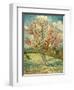 Peach Blossoming (Souvenir De Mauve)-null-Framed Giclee Print