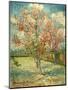 Peach Blossoming (Souvenir De Mauve)-null-Mounted Giclee Print