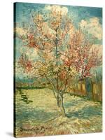 Peach Blossoming (Souvenir De Mauve)-null-Stretched Canvas