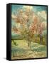 Peach Blossoming (Souvenir De Mauve)-null-Framed Stretched Canvas