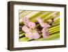 Peach Blossoms and Blades of Grass-Andrea Haase-Framed Photographic Print