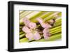 Peach Blossoms and Blades of Grass-Andrea Haase-Framed Photographic Print