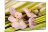 Peach Blossoms and Blades of Grass-Andrea Haase-Mounted Photographic Print