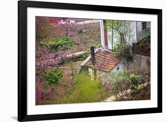 Peach Blossoms, Chinese Roofs, Village, Chengdu, Sichuan, China-William Perry-Framed Photographic Print