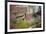 Peach Blossoms, Chinese Roofs, Village, Chengdu, Sichuan, China-William Perry-Framed Photographic Print