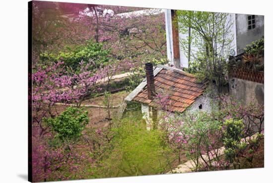 Peach Blossoms, Chinese Roofs, Village, Chengdu, Sichuan, China-William Perry-Stretched Canvas