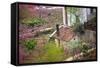 Peach Blossoms, Chinese Roofs, Village, Chengdu, Sichuan, China-William Perry-Framed Stretched Canvas