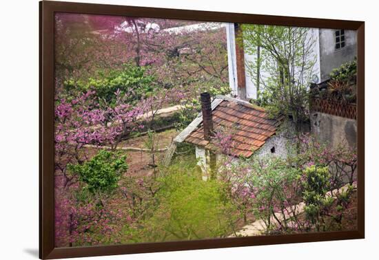 Peach Blossoms, Chinese Roofs, Village, Chengdu, Sichuan, China-William Perry-Framed Photographic Print