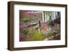 Peach Blossoms, Chinese Roofs, Village, Chengdu, Sichuan, China-William Perry-Framed Photographic Print