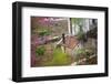 Peach Blossoms, Chinese Roofs, Village, Chengdu, Sichuan, China-William Perry-Framed Photographic Print