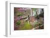 Peach Blossoms, Chinese Roofs, Village, Chengdu, Sichuan, China-William Perry-Framed Photographic Print