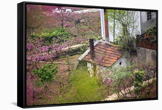 Peach Blossoms, Chinese Roofs, Village, Chengdu, Sichuan, China-William Perry-Framed Stretched Canvas