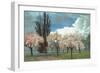 Peach Blossoms, Country Lane-null-Framed Art Print