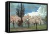 Peach Blossoms, Country Lane-null-Framed Stretched Canvas