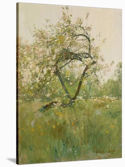 Peach Blossoms, Villiers-le-Bel, 1887-89-Childe Frederick Hassam-Stretched Canvas