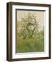 Peach Blossoms, Villiers-le-Bel, 1887-89-Childe Frederick Hassam-Framed Giclee Print