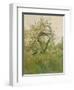 Peach Blossoms, Villiers-le-Bel, 1887-89-Childe Frederick Hassam-Framed Giclee Print