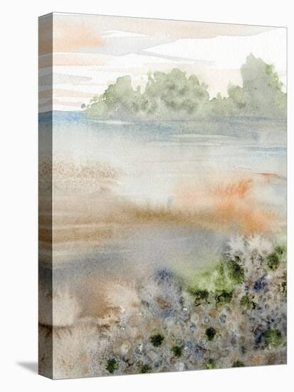 Peach Blue Landscape 4-Patti Bishop-Stretched Canvas