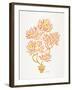 Peach Bonsai Orange-Cat Coquillette-Framed Giclee Print