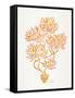 Peach Bonsai Orange-Cat Coquillette-Framed Stretched Canvas