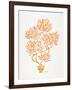 Peach Bonsai Orange-Cat Coquillette-Framed Giclee Print