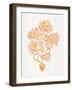 Peach Bonsai Orange-Cat Coquillette-Framed Art Print