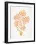 Peach Bonsai Orange-Cat Coquillette-Framed Art Print