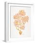 Peach Bonsai Orange-Cat Coquillette-Framed Art Print