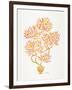 Peach Bonsai Orange-Cat Coquillette-Framed Art Print