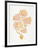 Peach Bonsai Orange-Cat Coquillette-Framed Art Print