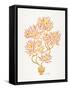 Peach Bonsai Orange-Cat Coquillette-Framed Stretched Canvas