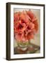 Peach Bouquet-Karyn Millet-Framed Photographic Print
