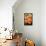 Peach Dalhia II-Maureen Love-Framed Stretched Canvas displayed on a wall