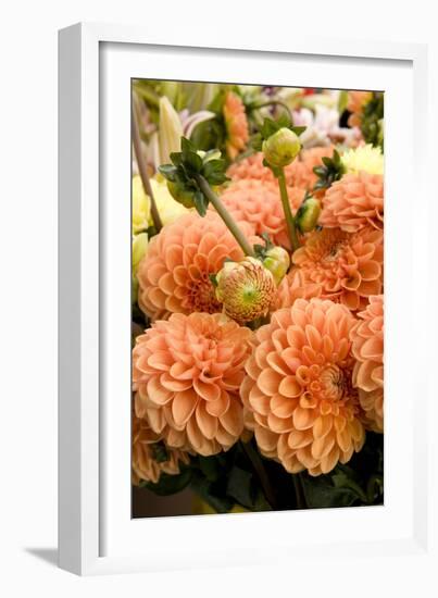 Peach Dalhia II-Maureen Love-Framed Photographic Print