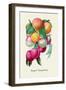 Peach Ensemble-null-Framed Art Print