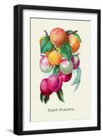 Peach Ensemble-null-Framed Art Print