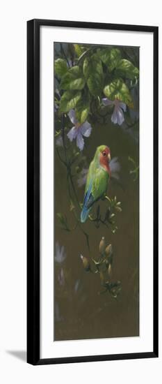 Peach Faced Lovebird 2-Michael Jackson-Framed Premium Giclee Print