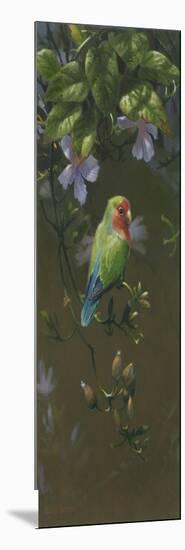 Peach Faced Lovebird 2-Michael Jackson-Mounted Giclee Print