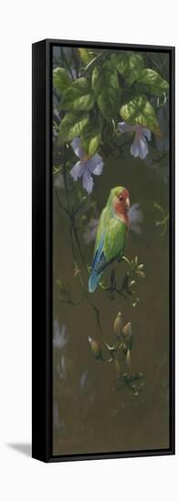 Peach Faced Lovebird 2-Michael Jackson-Framed Stretched Canvas