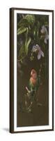 Peach Faced Lovebird-Michael Jackson-Framed Giclee Print