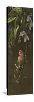 Peach Faced Lovebird-Michael Jackson-Stretched Canvas