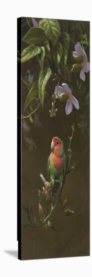 Peach Faced Lovebird-Michael Jackson-Stretched Canvas